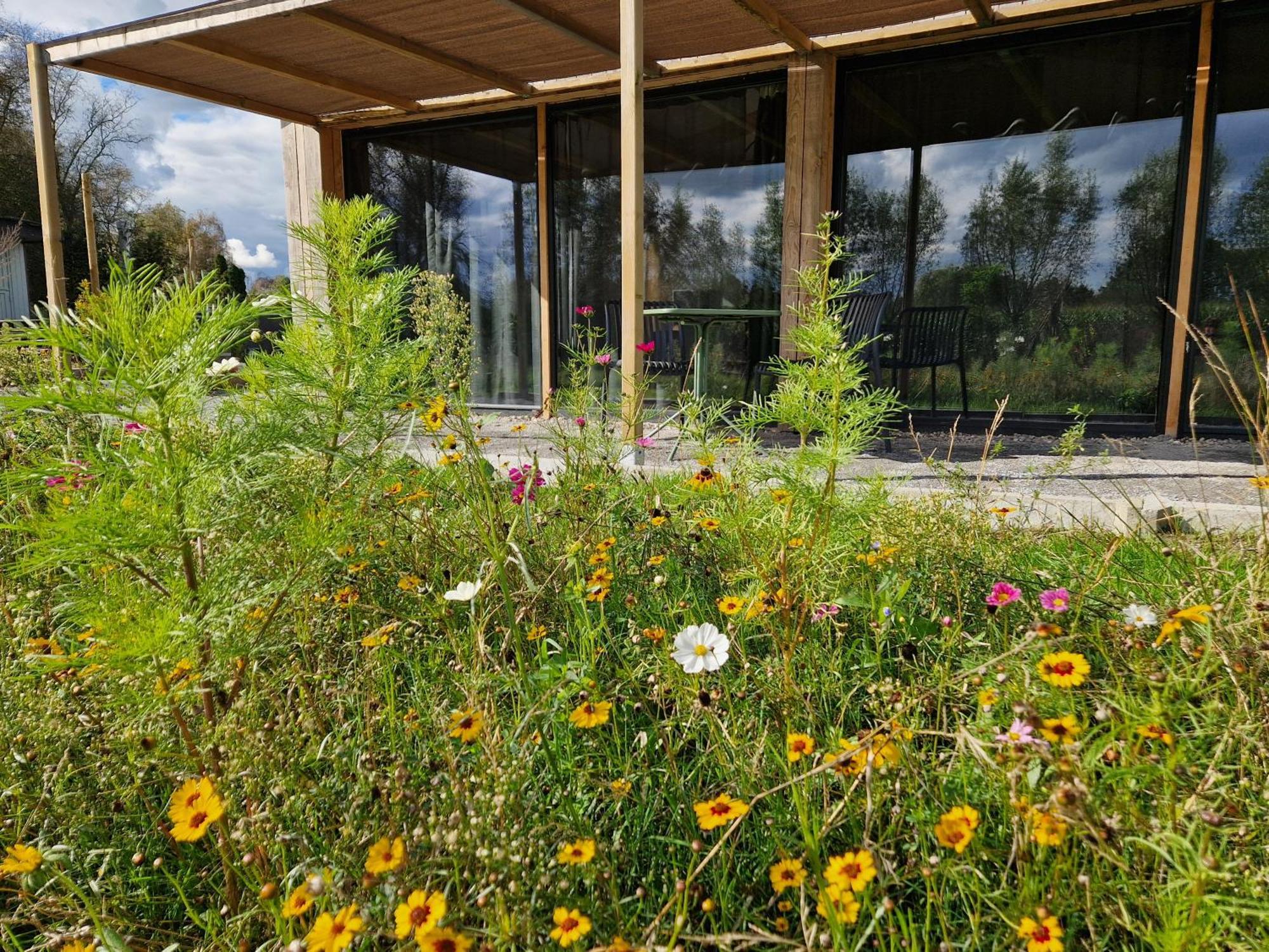 De Wilde Tuin - Tuinkamer Moergestel Εξωτερικό φωτογραφία